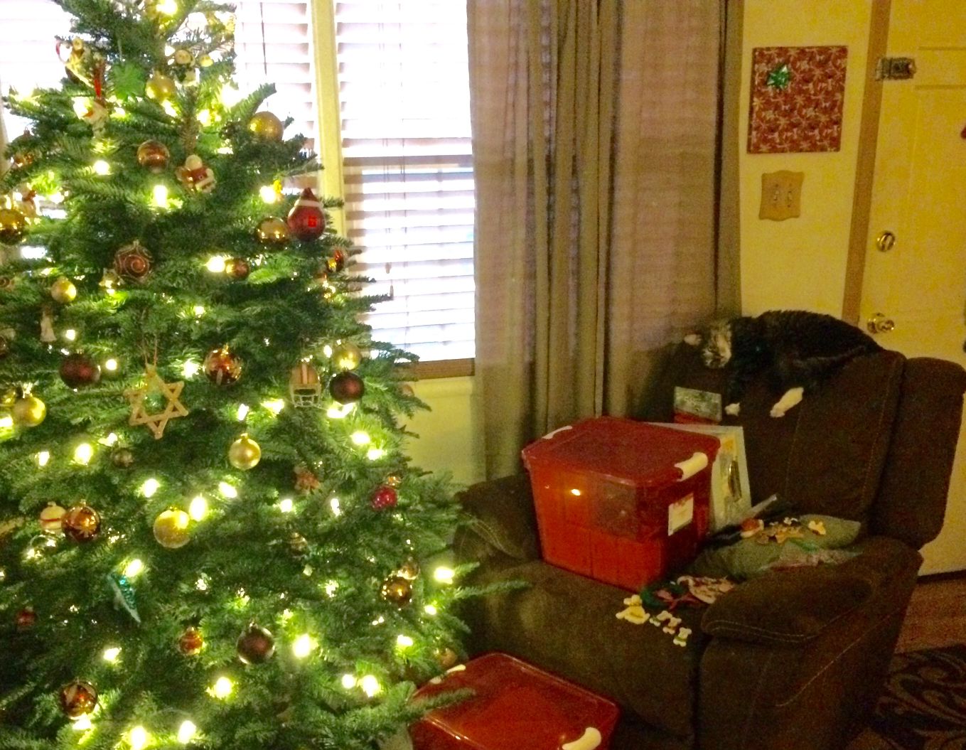 Christmas Cats